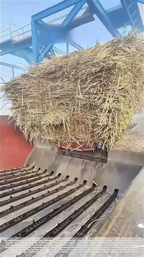 Feeding the Silo: How a Conveyor Belt Streamlines Winter Forage Storage