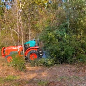 Clear Your Property FAST With This Tractor Implement #tractor #homestead #minifarm #tractorwork | Piney Grove Homestead and Mini Farm