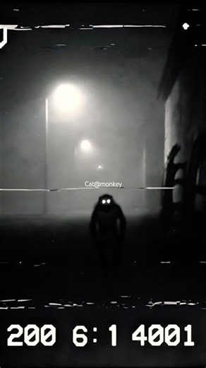 Scary Monkey Caught on CCTV|| ghost monkey short #short #shortvideo