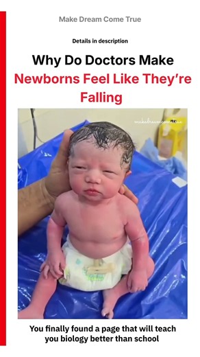 🧠 Why Do Doctors Make Newborns 🧬 Feel Like They’re Falling 🧑🏻‍⚕️ | MDCT