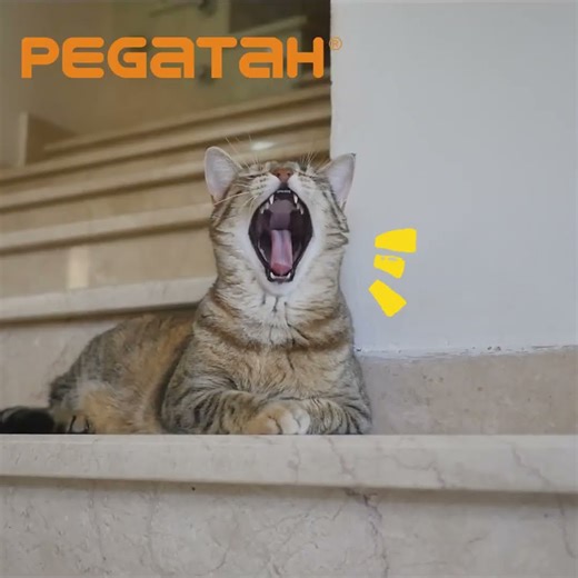 Professional Camera Manufacturer – High-Quality Surveillance Solutions