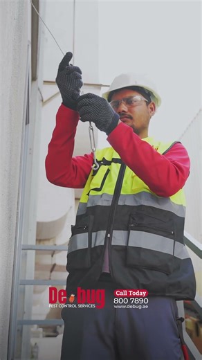 Debug bird control 4