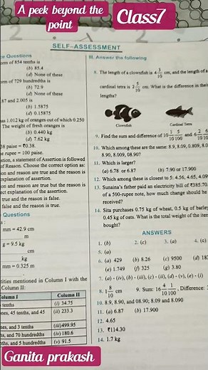 #shorts | Class 7 Maths | A Peek beyond the point | Worksheet | Class 7 Maths 3rd Chapter
