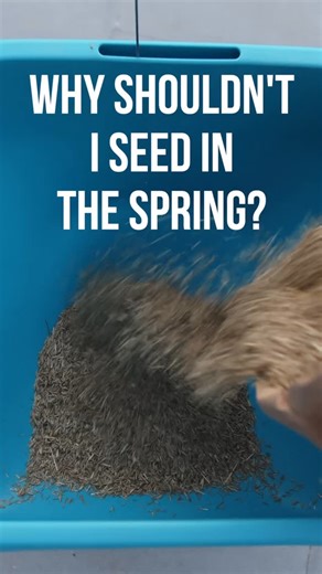 Here’s why we don’t recommend spring seeding. Fall aeration and overseeding is currently happening here in our neighborhoods! Reach out to be the first on the list for next year’s season. #NashvilleLawns #lawncarelife #MiddleTennesseeHomes #LawnCareTips #SpringSeeding #HealthyLawn #LawnGoals #PureTurf | Pure Turf, LLC | Facebook