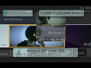 Flame Fundamentals - Module 7 - Part 05 - Save Time with Colour Grading Presets