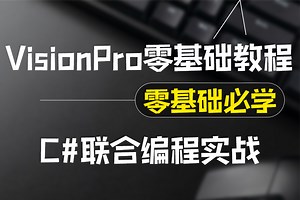 不学后悔的VisionPro零基础教程+C#联合编程 | 视觉企业级多项目实战落地（C#/工业相机/VP/康耐视VisionPro）B1395