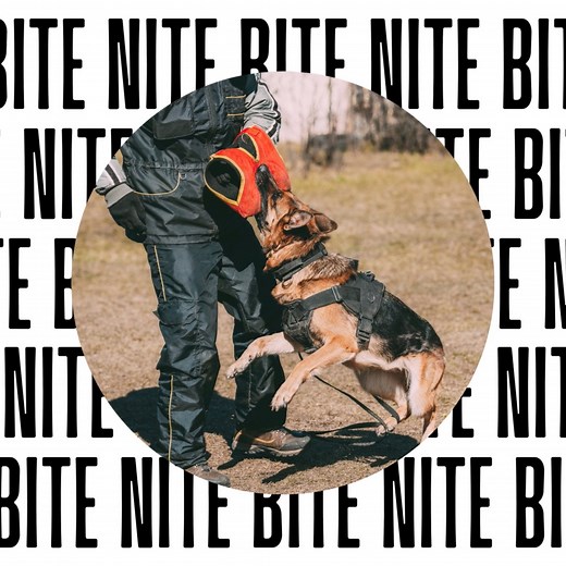 Protection Training - "Bite Nite" this Friday, 6pm, 11/7/25 Call to reserve your spot or pay if you "drop-in". #followersシ゚ #protectiondogs #bitework #sportdog#protection #protectionk9 s | Landheim Training and Boarding Center and German Shepherds