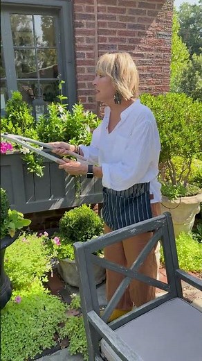 15 minute garden makeover #garden #gardening #heatwave