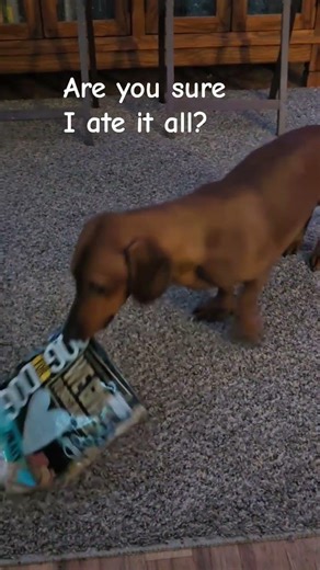 Just one more bite...