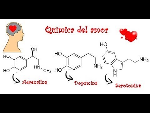 La química del amor Documental completo TVE