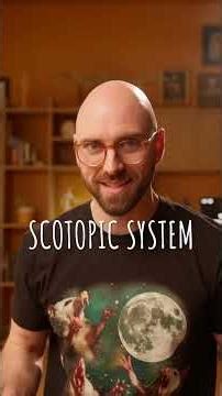 Moonlight Isn't Blue (The Purkinje Effect)