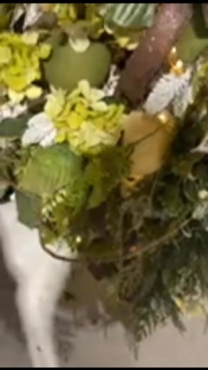 4.2K views · 95 reactions | I may have over committed to the amount of supplies I purchased for the tree… but even tho we only used 25% of them… it still came out really nice!  What theme is your Christmas tree this year? | DecoExchange | Facebook