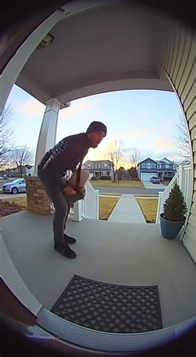 Clumsy Porch Pirate Falls While Stealing Exploding Package
