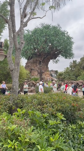 255K views · 3.2K reactions | ⚠️WARNING⚠️Do not go to Disney without...