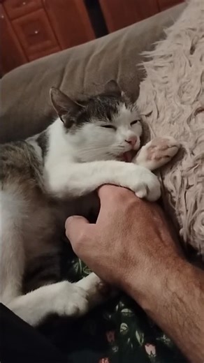 8 comments | Jacek Michalak on Reels | Facebook