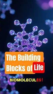 The Building Blocks of Life: #biomolecules #biology As/A levels