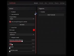 Fivem Best undetected Cheat