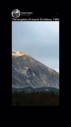 Explore the wild on Instagram: "🌋 The Eruption of Mount St. Helens, 1980 🌋 On March 27, 1980, Mount St. Helens began a series of volcanic explosions and pyroclastic flows in Skamania County, Washington. The eruptions escalated until May 18, 1980, at 8:32 AM, when a massive explosion with a Volcanic Explosivity Index (VEI) of 5 devastated the area. This was the most destructive volcanic eruption in U.S. history, surpassing any eruption since Lassen Peak (1915). The explosion reshaped the landsc
