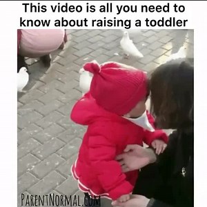 85K views · 1.4K reactions | This video is all you need to know about raising a toddler  | Nurture Parenting | Facebook