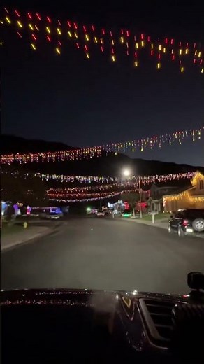 Neighborhood Christmas Lights Connected Across the Street 🎄✨