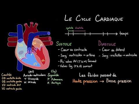 The Cardiac Cycle - The Lub Dub of a Heartbeat