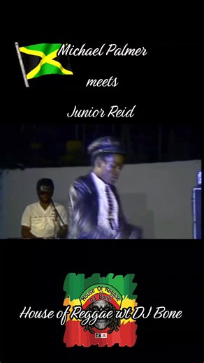 Michael Palmer Meets Junior Reid: A Reggae Experience