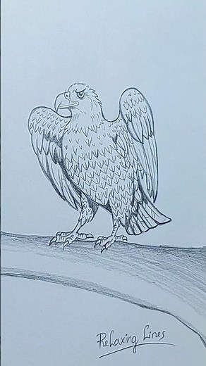 How to Draw an Eagle Easy 🦅 | Step by Step Drawing for Beginners