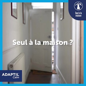 39 reactions · 31 shares | Votre chien est perturbé ou stressé ? Apportez-lui calme et sérénité avec ADAPTIL Diffuseur. Une solution naturelle pour apaiser votre chien lors des situations stressantes. | Adaptil | Facebook