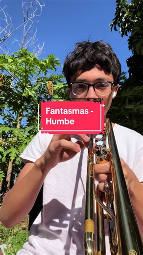 Playing Trumpet to Fantasmas - A Unique Experience