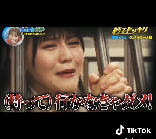 TikTok - Make Your Day