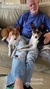 Laura | Work Burnout Wisdom on TikTok