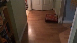 Sleeping on the floor - Vimeo