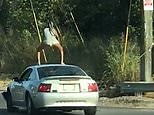 Bizarre moment woman is seen twerking on top of a moving car