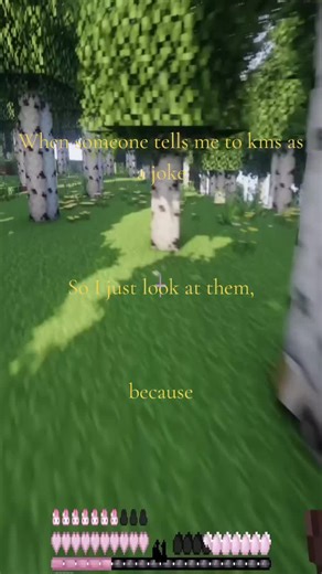 Understanding Mental Health Through Minecraft Sounds