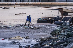 Expert says interventions on dolomite sand will not stop erosion