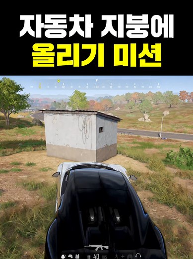 자동차 지붕 위에 올리기 미션 성공기