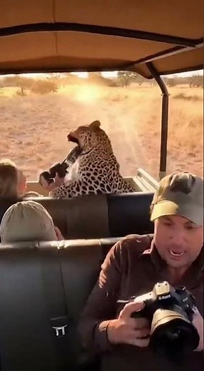 $20,000 LENS vs LEOPARD! She Blocks The Attack 😱 #표범 #사진작가 #카메라 #렌즈 #공격 #여자 #무서운 #충격 #방어 #고장