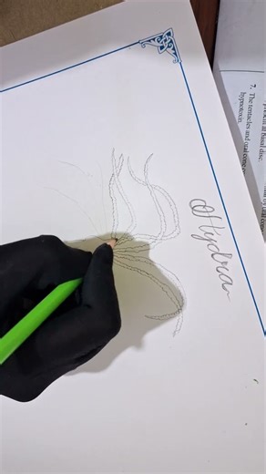 Structure of Hydra #diagrams #shortvideos #shorts #viralvideos