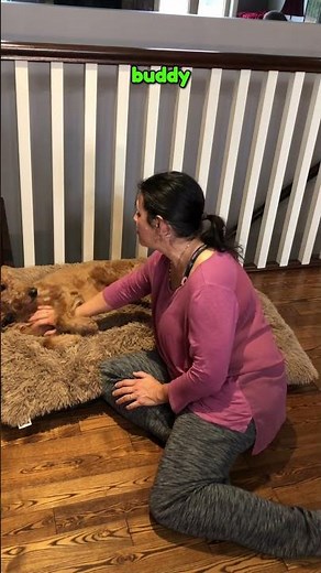 EHEYCIGA XXL Fluffy Dog Bed Review – Cozy & Comfy Pick