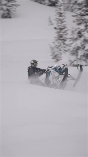 Yep, sorry boss #snowmobiling #sledding #snowmobile #winter #MarlonProducts #trailtowater | Marlon Recreational Products