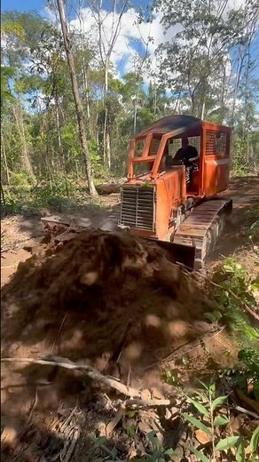 Trator De Esteira Fd130