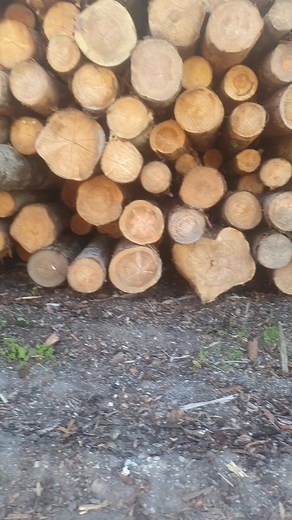 Maris Zvaigzne on Reels