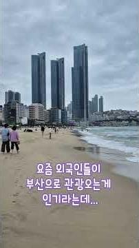 모래해변 맨발걷기 (27일차) / 27th day of sand beach walk #일상 #브이로그 #바다 #만보걷기 #여행 #등산 #맛집