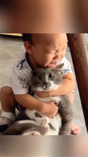 So Cute… So Dumb 😂🐱 – Funny Cats #185