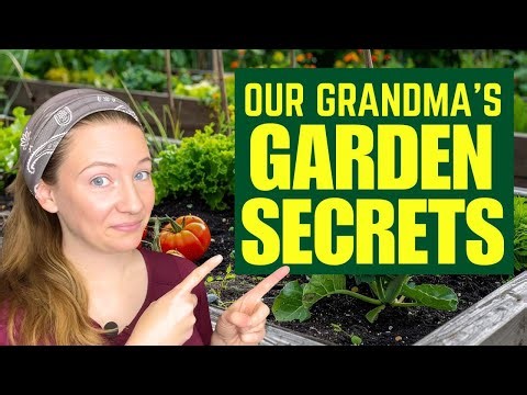 You have 6 Months to Prepare for What's Coming