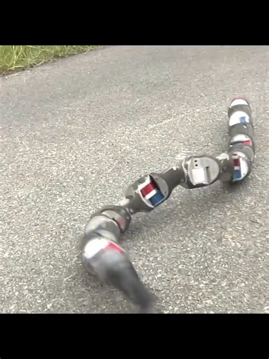 Exploring Unique Wooden Toys in Stock Video