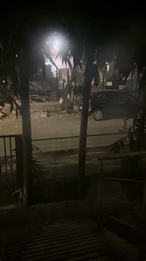 Cat Fight #catfight #catcrying #goodluck #badluck