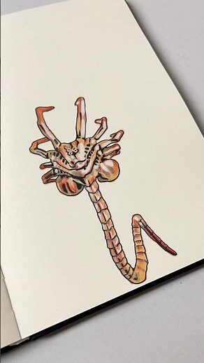 face hugger #alien #xenomorph #facehugger #horror #fyp
