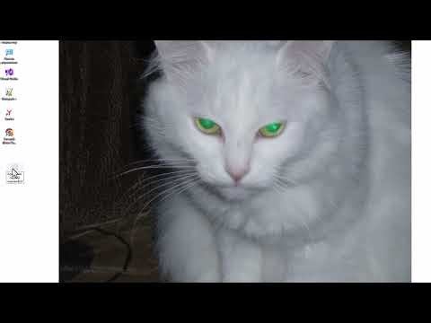 Как работать с готовым кодом HTML и JavaScript в текстовом редакторе