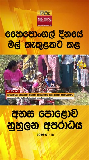 Breathing Teddy Bear Innovation in Sri Lanka